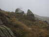 20210921115932-DSCN9925.JPG