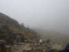 20210921120355-DSCN9928.JPG