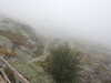 20210921121215-DSCN9943.JPG
