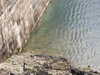 20210921123951-DSCN9980.JPG