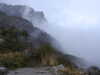 20210921124057-DSCN9986.JPG