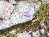 20210921124657-DSCN9999.JPG