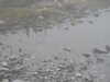 20210921124739-DSCN0001.JPG