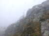 20210921125229-DSCN0010.JPG