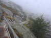 20210921125232-DSCN0011.JPG