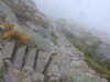 20210921125302-DSCN0013.JPG