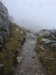 20210921125356-DSCN0014.JPG