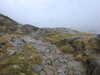 20210921125614-DSCN0017.JPG