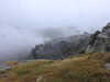 20210921125645-DSCN0019.JPG