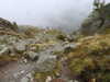20210921125726-DSCN0021.JPG