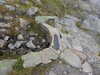 20210921125907-DSCN0022.JPG