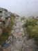 20210921125928-DSCN0024.JPG