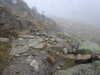 20210921125954-DSCN0025.JPG