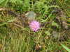 20210921130351-DSCN0027.JPG