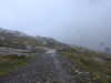 20210921130358-DSCN0028.JPG