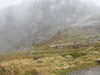 20210921130436-DSCN0030.JPG