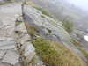 20210921130535-DSCN0032.JPG