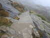 20210921130537-DSCN0033.JPG