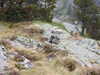 20210921134444-DSCN0056.JPG