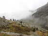 20210921134500-DSCN0058.JPG