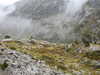 20210921134519-DSCN0061.JPG