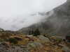 20210921134535-DSCN0062.JPG