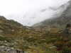20210921134555-DSCN0066.JPG