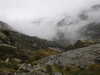 20210921135012-DSCN0077.JPG