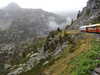 20210921135104-DSCN0082.JPG