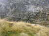 20210921135147-DSCN0088.JPG