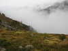 20210921135248-DSCN0097.JPG