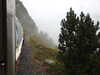 20210921135338-DSCN0101.JPG