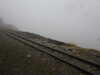 20210921135436-DSCN0104.JPG