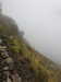 20210921135448-DSCN0105.JPG