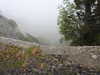 20210921135536-DSCN0109.JPG