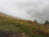 20210921135744-DSCN0115.JPG