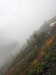 20210921135827-DSCN0117.JPG