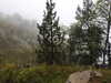 20210921135918-DSCN0121.JPG