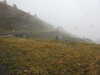 20210921140327-DSCN0129.JPG