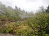 20210921140707-DSCN0136.JPG