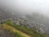 20210921140839-DSCN0140.JPG