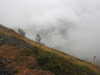 20210921141011-DSCN0145.JPG