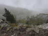 20210921141102-DSCN0149.JPG