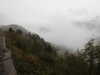 20210921141221-DSCN0152.JPG