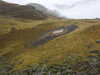 20210921141317-DSCN0155.JPG