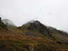20210921141840-DSCN0169.JPG