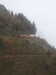 20210921141926-DSCN0170.JPG