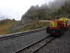20210921142242-DSCN0179.JPG