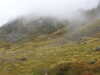 20210921142417-DSCN0184.JPG