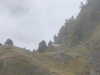 20210921142427-DSCN0186.JPG